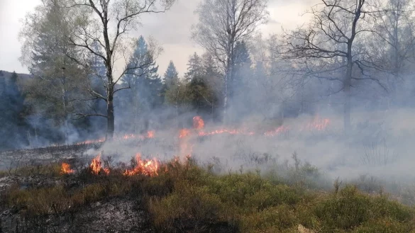 Die Flammen breiteten sich schnell aus. - &copy; Feuerwehr Horn-Bad Meinberg