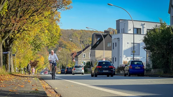 Die Friedrich-Ebert-Stra&szlig;e gilt als Hauptachse f&uuml;r den Detmolder Radverkehr. Die Mehrzweckstreifen an den Stra&szlig;enr&auml;ndern sind allerdings als Radwege zu schmal, daher sollen nun echte Fahrradwege markiert werden. - &copy; Raphael Bartling