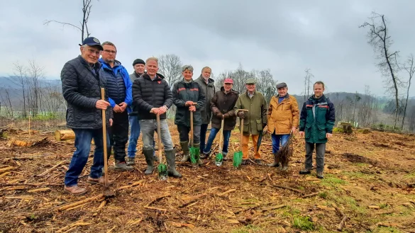 Mitglieder des Rotary Clubs Lemgo-Sternberg, unter anderem mit Pr&auml;sident Hubert von Schnakenburg (links), pflanzten mit Susanne Hoffmann (Siebte von rechts) und Thomas Fritzemeier (rechts) junge Setzlinge. - &copy; Rotary Club Lemgo-Sternberg