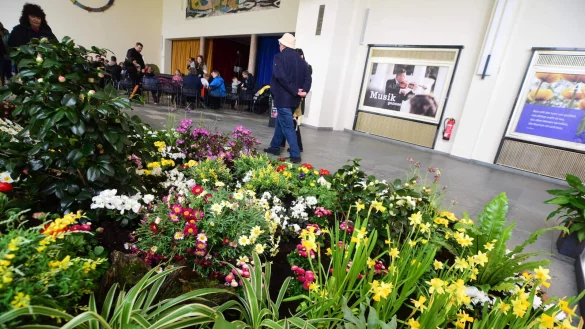 Ein Blumenbeet in der Wandelhalle erzeugt Fr&uuml;hlingsgef&uuml;hle. - &copy; Nicole Ellerbrake