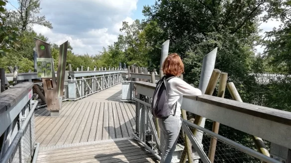 F&uuml;r die Landesgartenschau in Bad Iburg entstand ein Baumwipfelpfad, der alleine schon mehr als drei Millionen Euro kostete. - &copy; Axel B&uuml;rger(LZ)