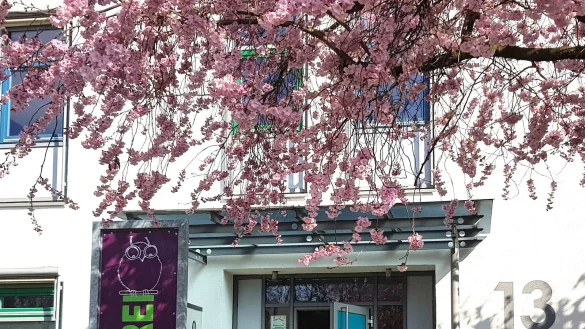 Ulrike Knickmanns verlässt die Bücherei Schlangen. - © Gemeinde Schlangen