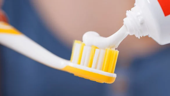 M&uuml;ll vermeiden - &copy; Foto: Christin Klose