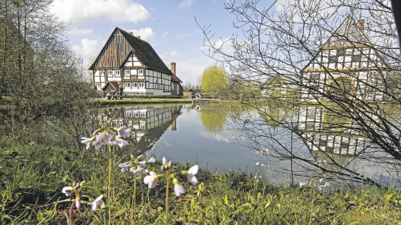 Idylle: Das Paderborner Dorf im Freilichtmuseum Detmold, dem Publikumsmagneten unter den LWL-Museen. - © LWL/Jähne
