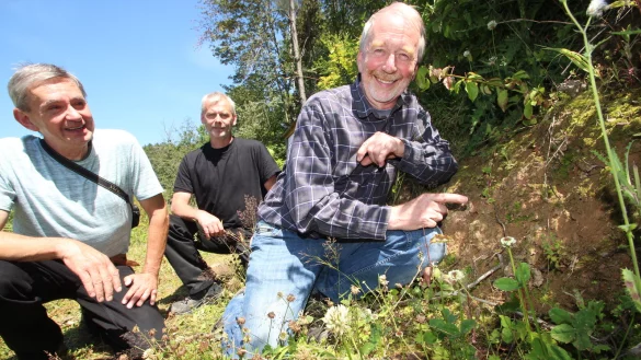Hans Dudler (Insektenexperte vom Nabu Lippe, von links), Dr. Rudolf Diekmeier (Vorsitzender Verein "Tiere im Dorf") und Bernd M&uuml;hlenmeier (Artenschutzbeauftragter des Kreises Lippe) begutachten das Wildbienen-Habitat, das unbeabsichtigt am Schwelentruper Dorfteich entstanden ist. - &copy; Jens Rademacher