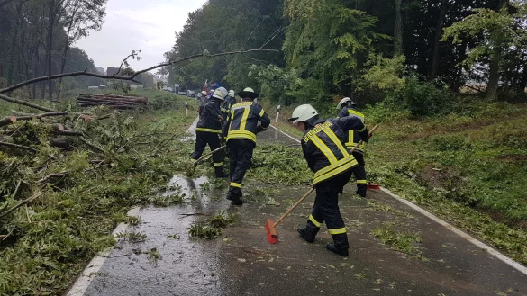 B&auml;ume blockieren bei Uhlental die Stra&szlig;e. - &copy; Feuerwehr Barntrup