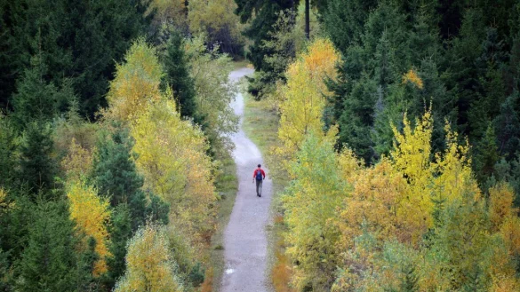 Wanderer im Teutoburger Wald - &copy; DPA