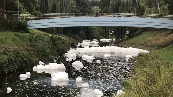 Am Montagmorgen treibt massenweise Schaum auf der Werre in Herford. - &copy; Frank-Michael Kiel-Steinkamp