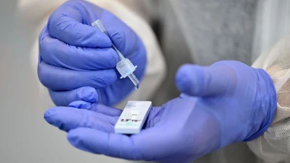 - &copy; Martin Schutt/dpa-Zentralbild/dpa