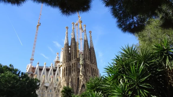 Gr&uuml;ner Rahmen - &copy; Foto: Andrea Warnecke/dpa-tmn