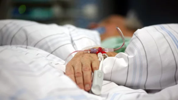 Borna-Virus - &copy; Foto: Kay Nietfeld/dpa