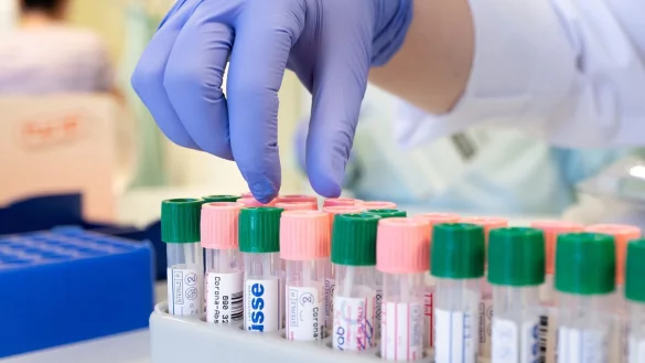 PCR-Labor - &copy; Foto: Sebastian Kahnert/dpa-Zentralbild/dpa