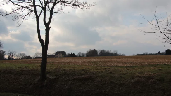 Auf diesem Feld an der Breitenheider Stra&szlig;e m&ouml;chte die Politik das Bildungszentrum des Christlichen Schulvereins nicht haben. - &copy; Karolina Schmidt