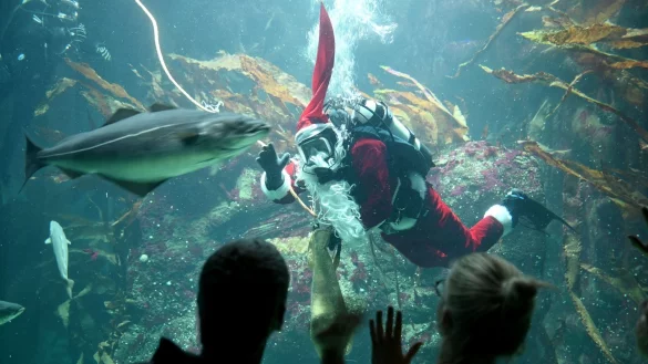 Nikolaus - &copy; Foto: Carsten Rehder/dpa