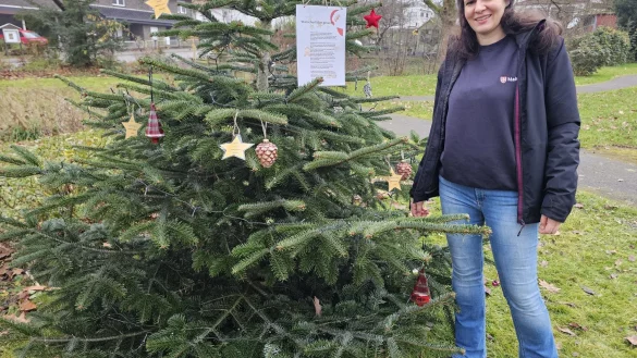 Umfeldmanagerin Johanna Neugebauer freut sich, dass der Verein "leben in Hörste" die Wunschbaumaktion kurzfristig organisiert hat. Die Wünsche - jeder ist maximal auf 15 Euro begrenzt - der 29 Kinder in der Notunterkunft stehen auf den Sternen, die gerne "gepflückt" und erfüllt werden dürfen.. - © Astrid Sewing