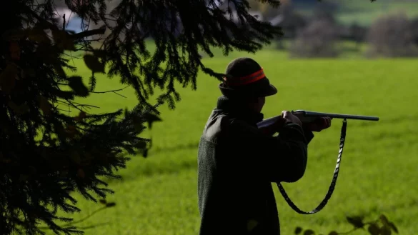 Schie&szlig;en sich (rein rhetorisch) auf Umweltminister Remmel ein: NRWs J&auml;ger emp&ouml;ren sich &uuml;ber das Jagdgesetz, insbesondere &uuml;ber den Katalog der jagdbaren Arten. - &copy; DPA