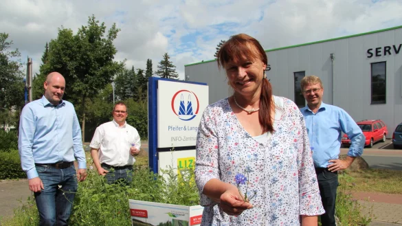 Freuen sich über die Blühfläche: (von links) Daniel Hagedorn, Geschäftsführer des Verbandes der Rübenanbauer im Lippe-Weser-Raum, Dr. Stefan Brinker, Regionalleiter Landwirtschaft Lage, Margarete Wißmann vom Fachteam Umweltplanung der Stadt Lage und Markus Decker, landwirtschaftlicher Anbauberater der Zuckerfabrik Lage. - © Nadine Uphoff