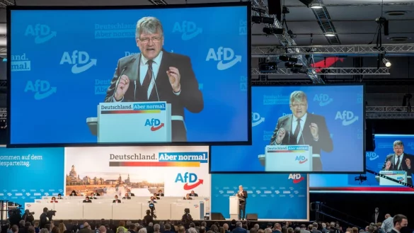 J&ouml;rg Meuthen - &copy; Foto: Kay Nietfeld/dpa