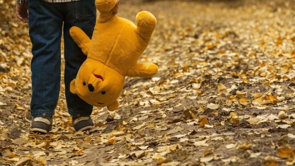 Herbst in der Seele: Sexueller Missbrauch hinterl&auml;sst Spuren bei den Opfern. Um den Sohn von Linda T. nicht auch noch Problemen im sozialen Umfeld auszusetzen, zeigen wir an dieser Stelle ein Symbolfoto. - &copy; Symbolfoto: pixabay