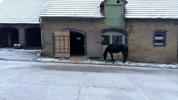 Das Tor steht auf: Irgendjemand hat in Vo&szlig;heide die Boxen in einem Pferdestall ge&ouml;ffnet und die Tiere hinaus gescheucht. 
- &copy; Privat