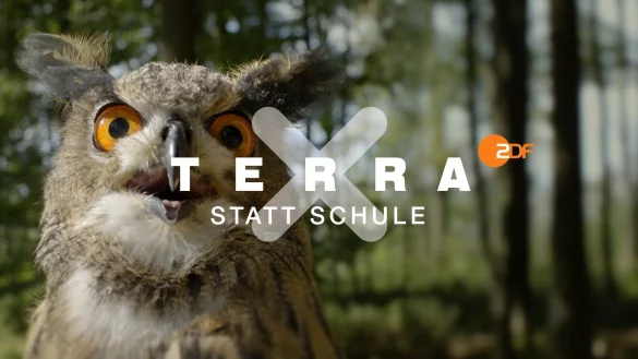 Terra X statt Schule - &copy; Foto: -/ZDF/HR Geschichte und Wissenschaft/dpa