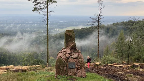 Der Hermann-L&ouml;ns-Ged&auml;chtnisstein auf dem T&ouml;nsberg, der sonst im dichten Wald lag, ist wieder sehr gut am S&uuml;dhang zu erkennen. - &copy; Horst Biere