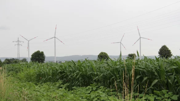 Vier Windr&auml;der drehen sich bereits in der N&auml;he von Hardissen, f&uuml;nf weitere will die Windpark Lage-L&uuml;ckhausen GmbH & Co. KG in der N&auml;he bauen. - &copy; Nadine Uphoff