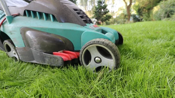 Elektro-Rasenm&auml;her - &copy; Foto: Nestor Bachmann/dpa-tmn