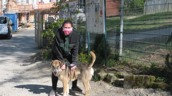 Tierpflegerin Jessica Dey vom Detmolder Tierheim geht mit Mischling Barney spazieren. - &copy; Tierheim Detmold
