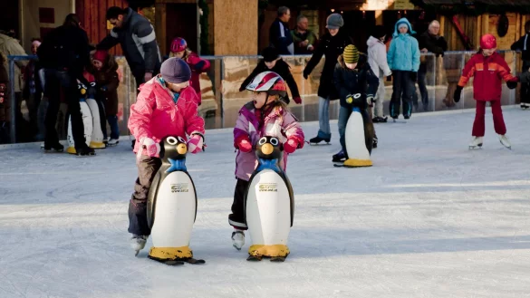 "Karins" Brüder und Schwestern müssen ohne sie über das Eis flitzen. Die Pinguindame ist in der Eröffnungsnacht verschwunden. - © Lemgo Marketing