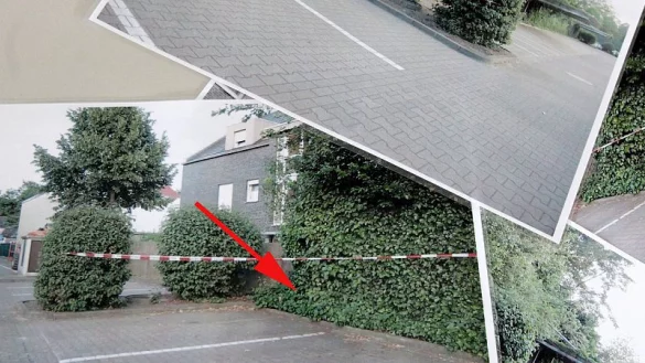 In diesem Geb&uuml;sch am Media-Markt-Parkplatz Vennstra&szlig;e lag der neugeborene Junge.
 - &copy; Patrick Menzel