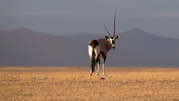 Naturschutz - &copy; Foto: Chen Cheng/XinHua/dpa