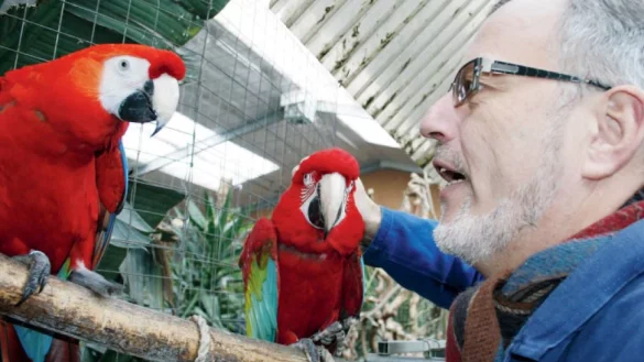 Verstehen sich: Wolfgang Busse und die Papageien. - © Archiv