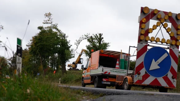 Anfang 2021 soll f&uuml;r die B66, Ortsumgehung Barntrup der Streckenbau beginnen und vorher muss das erforderliche Baufeld ger&auml;umt werden. Dazu geh&ouml;rt das Abschieben des Oberbodens auf etwa drei Kilometer L&auml;nge und das Entfernen des Bewuchses. - &copy; Lorraine Brinkmann