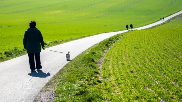 Spaziergang mit Hund - &copy; Foto: Jonas G&uuml;ttler/dpa/dpa-tmn