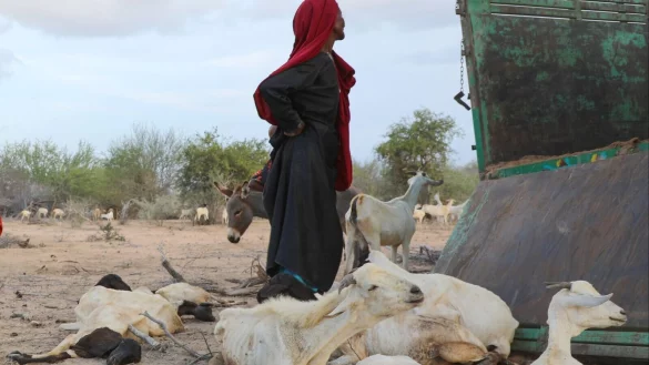 - &copy; Saddam Mohammed/CARE International/dpa