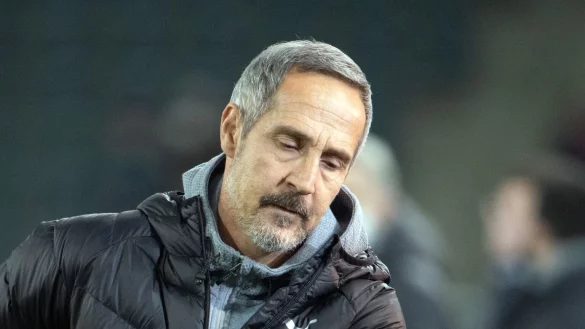 Viel Arbeit - &copy; Foto: Federico Gambarini/dpa