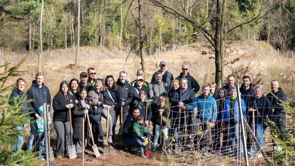 Mitarbeiter der Volksbank Detmold packten mit an, um nahe des Donoper Teichs besonders klimaresiliente Hölzer anzupflanzen. - © Alex Waltke
