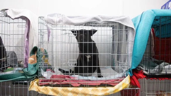 - &copy; Sebastian Gollnow/dpa