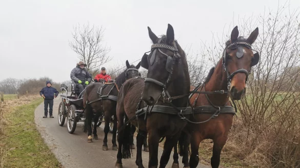 Der Viersp&auml;nner unterwegs mit der Besatzung (von links) Matthias Rebentisch, Andreas Czymoch und Peter Kr&uuml;ger. Nicht im Bild ist Gespannbesitzer Reinhard Merten. - &copy; Sylvia Frevert