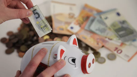 Sparschwein f&uuml;r die Lipper - &copy; Vera Gerstendorf-Welle