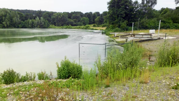 Im Schieder-See bilden sich derzeit gef&auml;hrliche Blaulagen im Wasser. - &copy; Wolfgang Rose
