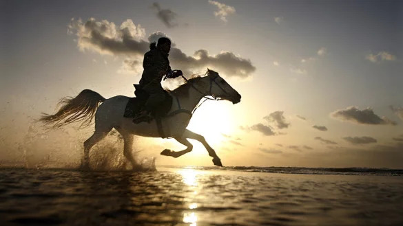 Zu Pferd durchs Wasser - &copy; Foto: dpa