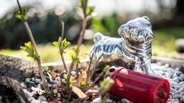 Hundefigur auf einem Grab - &copy; Foto: Frank Rumpenhorst/dpa/Illustration
