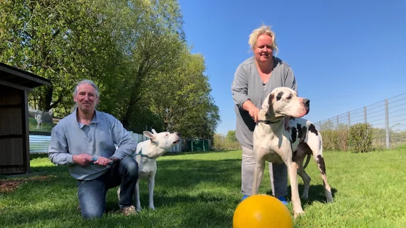 Thomas Schmitz und Melanie Vogt mit Mischling Yuma und Dogge Bentley auf dem Gelände des Tierheims. - © Sven Kienscherf