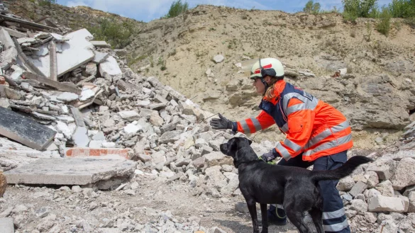 Jutta Sprenger trainiert mit Rettungshund &bdquo;Bandit" die Tr&uuml;mmersuche. Die Rettungshundestaffel hat in f&uuml;nf Jahren zahlreiche Eins&auml;tze absolviert. - &copy; A.Jaeckle