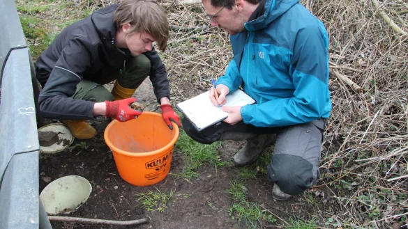 Viel Leben im Eimer: &Uuml;ber Nacht sind 23 Erdkr&ouml;ten in den Eimer geplumpst. Felix Bruns (links) und Fabian Fester f&uuml;hren genau &uuml;ber Zahl und Art der gefangenen Tiere Buch. - &copy; Dieter Asbrock