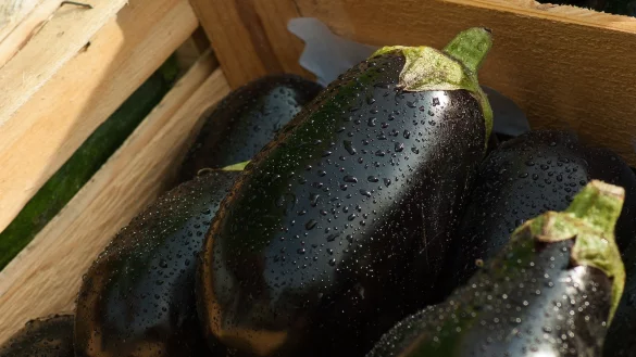 Aubergine ist eine Hauptzutat in der Caponata. - © Symbolbild: Pixabay