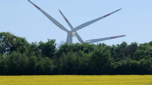 Windr&auml;der - &copy; Foto: Roland Holschneider/dpa