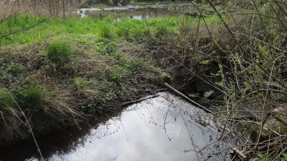 Die W&ouml;rbke in Detmold hatte der Kreis Lippe bei der Gew&auml;sserschau 2023 unter die Lupe genommen. - &copy; Kreis Lippe